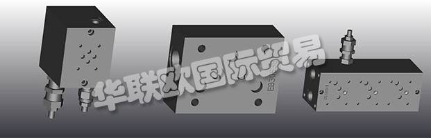 EUROFLUID Hydraulic是一家大型公司，專門生產(chǎn)液壓設備的歧管。