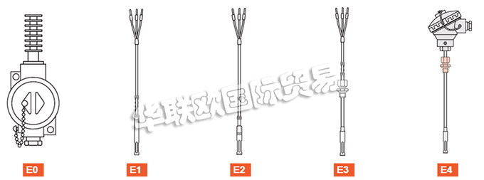 ELSI探頭、ELSI溫度計、熱電阻、熱電偶、熱電偶探頭、電阻溫度計探頭、溫度變送器、便攜式溫度計、滑動法蘭、電子溫度計連接頭、滑動螺紋配件。