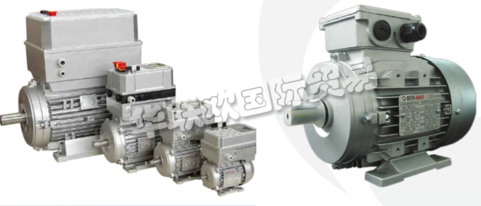 意大利BERMAR公司的主要產(chǎn)品包括：意大利BERMAR電機(jī)、BERMAR電動(dòng)機(jī)、異步電機(jī)、異步電動(dòng)機(jī)、永磁發(fā)動(dòng)機(jī)、逆變器、伺服通風(fēng)電動(dòng)機(jī)、伺服電動(dòng)機(jī)、工業(yè)洗衣機(jī)電動(dòng)機(jī)、單相電動(dòng)機(jī)、DRIVEJET鼓風(fēng)機(jī)、高效電機(jī)、泵、風(fēng)扇、工業(yè)壓縮機(jī)。